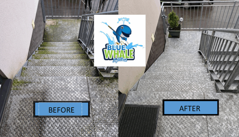 Screenshot 2024 11 07 141511 768x439