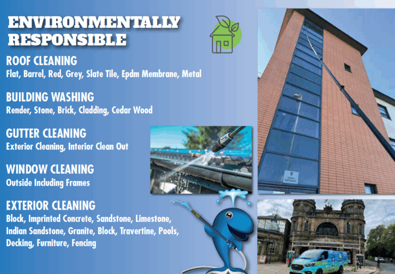 Screenshot 2024 11 12 152251 768x533