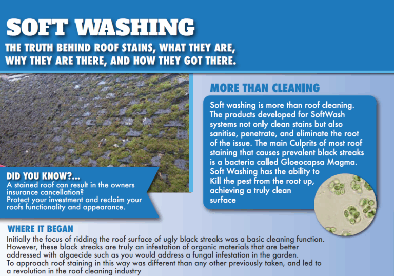 Screenshot 2024 11 12 152317 768x538