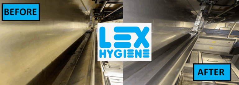 Screenshot 2024 11 12 161716 768x273