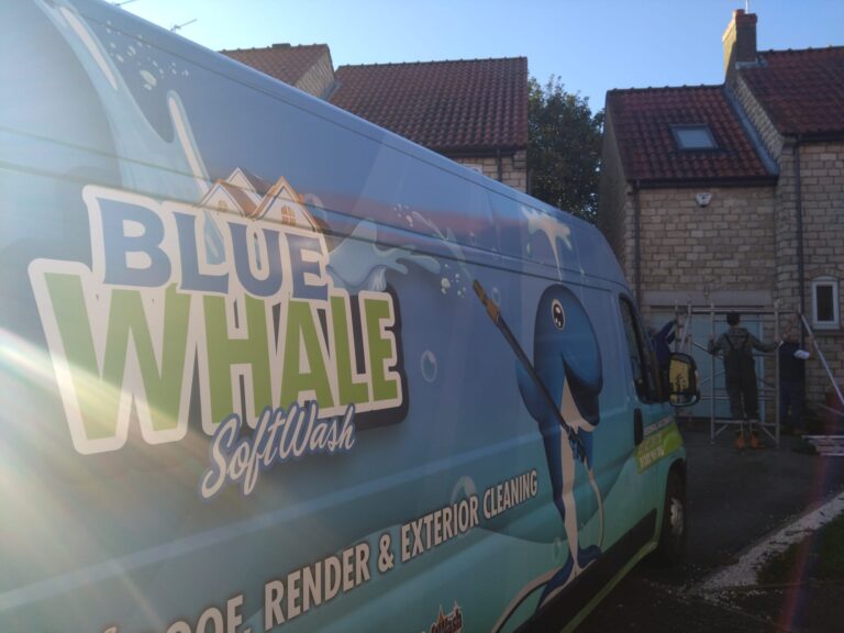 WhatsApp Image 2024 10 17 at 12.20.14 2 768x576